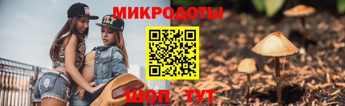 Псилоцибиновые грибы мицелий  Галлюциногенные грибы GOLDEN TEACHER  Выкса  где купить наркоту  Вход с VPN 